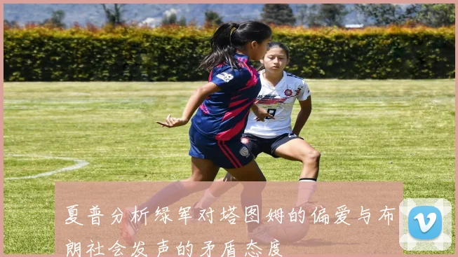 夏普分析绿军对塔图姆的偏爱与布朗社会发声的矛盾态度